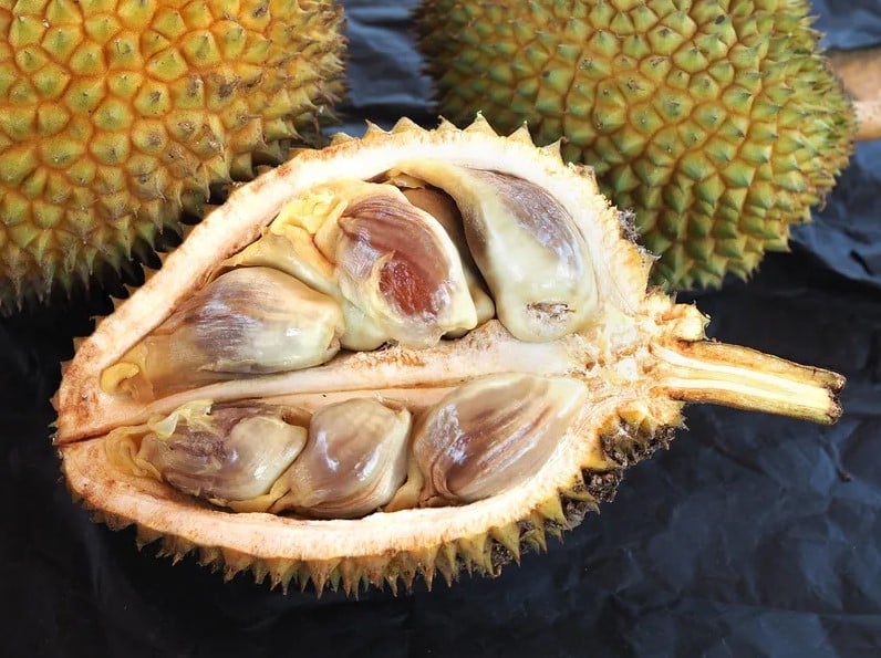 Ketahui Durian Kura-Kura, Keunikan Buah Tropika yang Tersembunyi Di Bekenu Sarawak