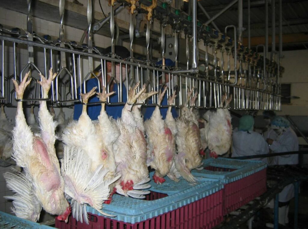 Bukan Perkara Remeh, Ini Antara Sebab Kenapa Sijil Halal Penting Di Kedai Makan