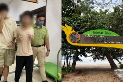 Sengaja Tangkap Dan Lepas Haiwan Dari Taman Negara Bako, Dua Pelajar China Didenda RM9K