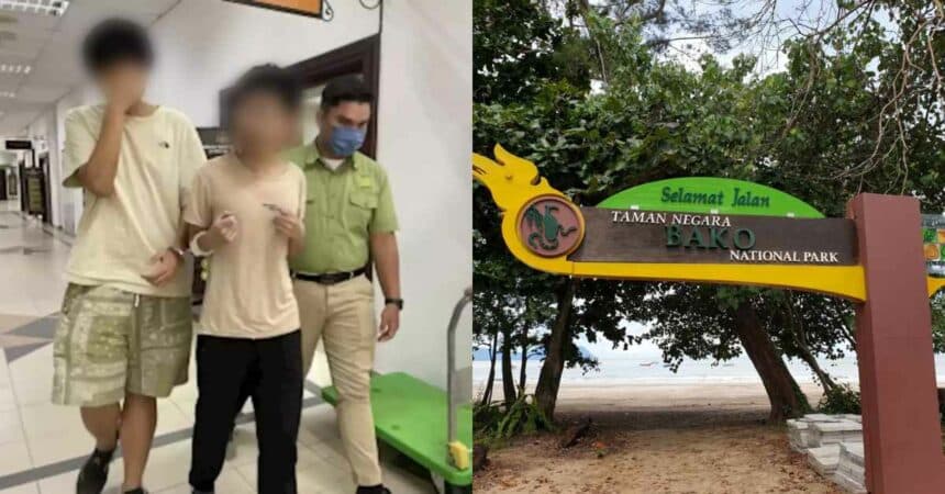 Sengaja Tangkap Dan Lepas Haiwan Dari Taman Negara Bako, Dua Pelajar China Didenda RM9K