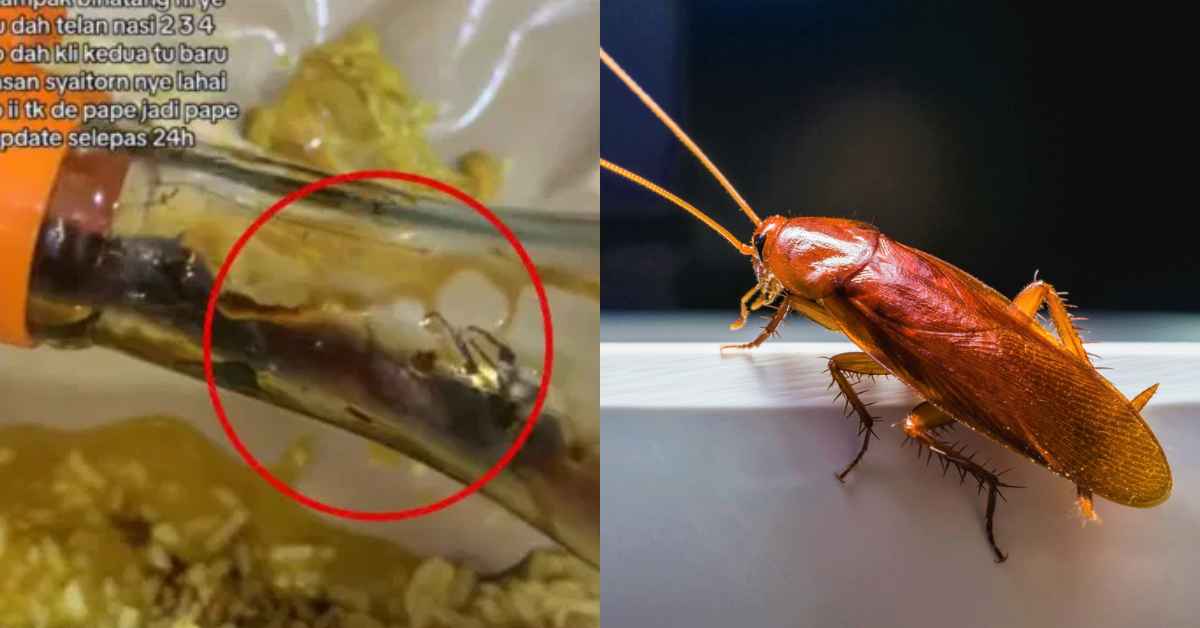 Tengah Sedap Makan, Wanita 'Loya Tekak' Jumpa 3 Ekor Lipas Dalam Botol Kicap Di Kedai Makan