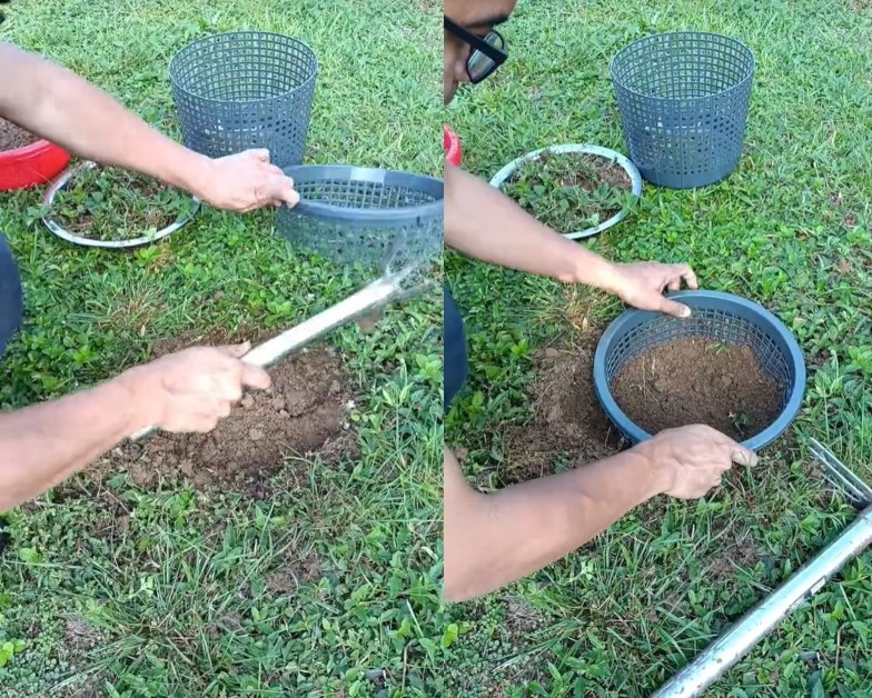 Sisa Dapur Boleh Jadikan Kompos, Lelaki Ini Tunjuk Cara Mudah Tempat Simpan