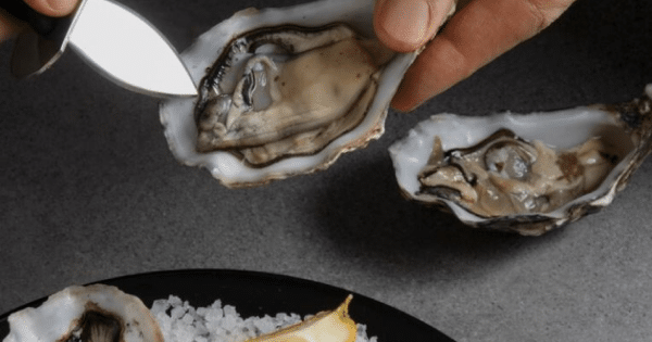Lelaki Temui Ajal Gara-Gara Makan 'Oyster' Mentah Di Restoran
