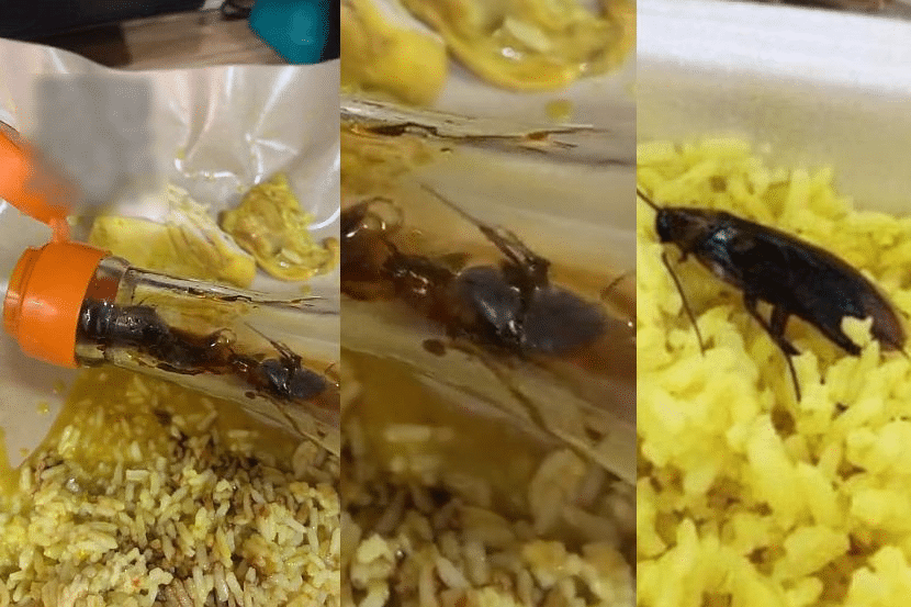 Tengah Sedap Makan, Wanita 'Loya Tekak' Jumpa 3 Ekor Lipas Dalam Botol Kicap Di Kedai Makan