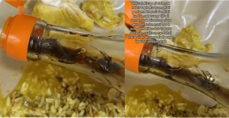 Tengah Sedap Makan, Wanita 'Loya Tekak' Jumpa 3 Ekor Lipas Dalam Botol Kicap Di Kedai Makan