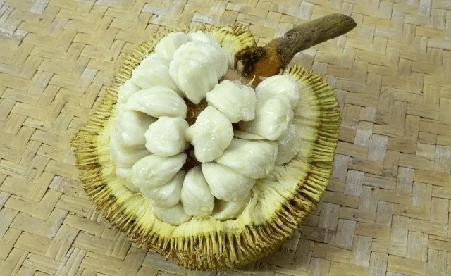 'Pala Munsuh', Buah Eksotik Mirip Durian Dan Cempedak Yang Rare Di Sarawak