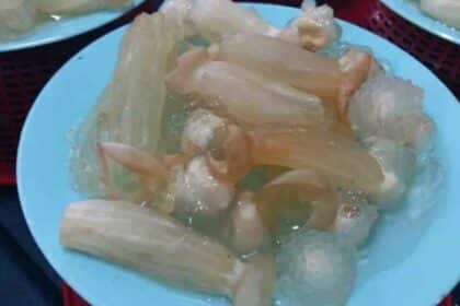 Mirip Obor-Obor Dengan Tekstur Jeli, Kenali Kulat Mata Janik Cendawan Rare Di Sarawak