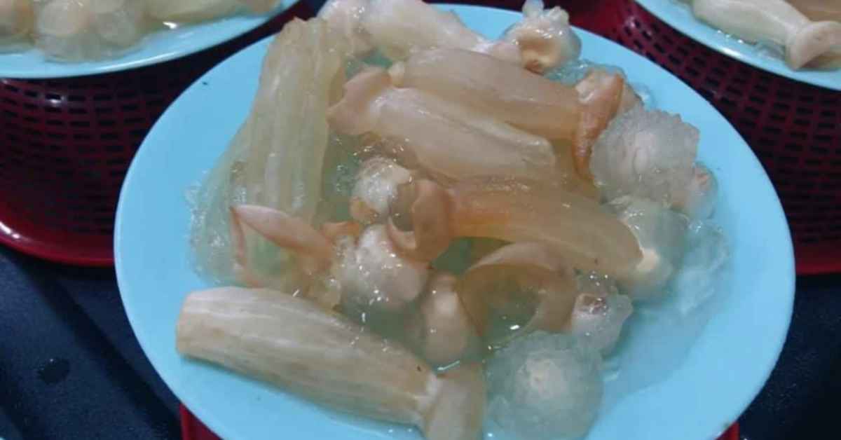 Mirip Obor-Obor Dengan Tekstur Jeli, Kenali Kulat Mata Janik Cendawan Rare Di Sarawak