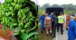 Niat Cari Sayur Bertukar Tragedi, Warga Emas Ditemui Maut Tepi Jalan Di Bau