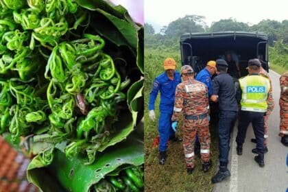 Niat Cari Sayur Bertukar Tragedi, Warga Emas Ditemui Maut Tepi Jalan Di Bau