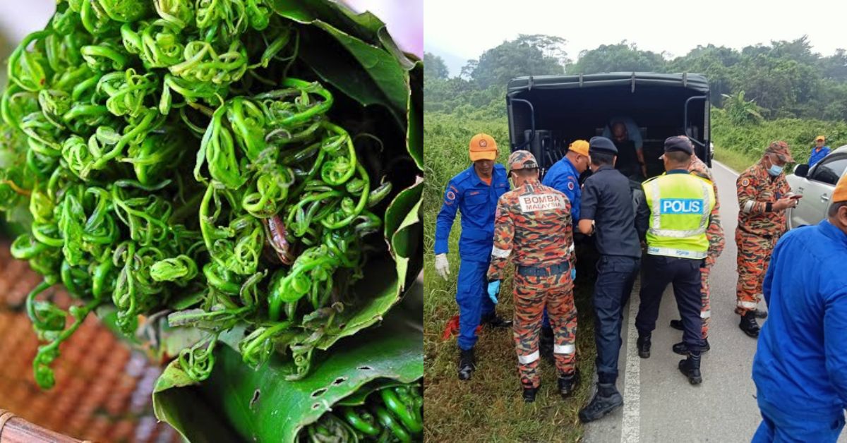 Niat Cari Sayur Bertukar Tragedi, Warga Emas Ditemui Maut Tepi Jalan Di Bau