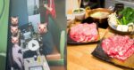Order 600 Set Daging, 1 Family Kantoi 'Tapaw' Makanan Di Sebuah Kedai Makan Steamboat Di Bintulu