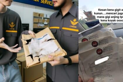 Transkrip Koyak Dakwa Guna Alasan Digigit Anjing, Pelajar Ini Kesal Dengan Servis Kurier Di Sabah