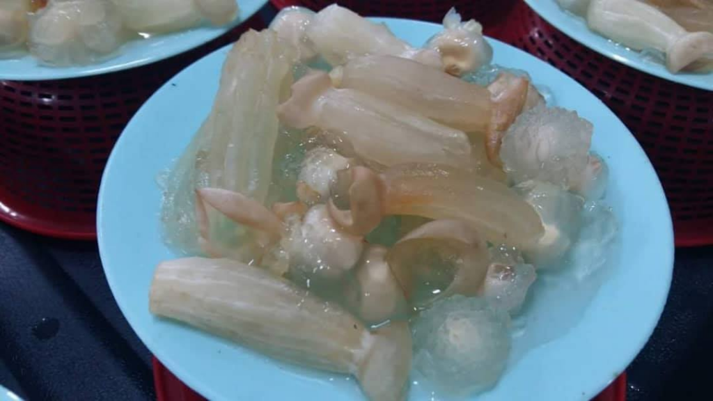 Mirip Obor-Obor Dengan Tekstur Jeli, Kenali Kulat Mata 'Janik' Cendawan Rare Di Sarawak