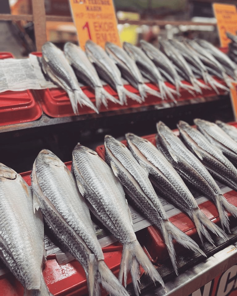 Ikon Pelancongan Dan Wajib Dijadikan Buah Tangan, Ketahui Keunikan Ikan Terubuk Asli Sarawak