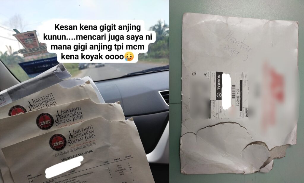 Transkrip Koyak Dakwa Guna Alasan Digigit Anjing, Pelajar Ini Kesal Dengan Servis Kurier Di Sabah