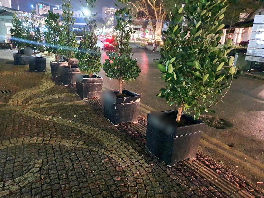 Halang Laluan Pejalan Kaki Untuk Orang Buta, Pasu Bunga Di Waterfront Kuching Raih Perhatian Netizen