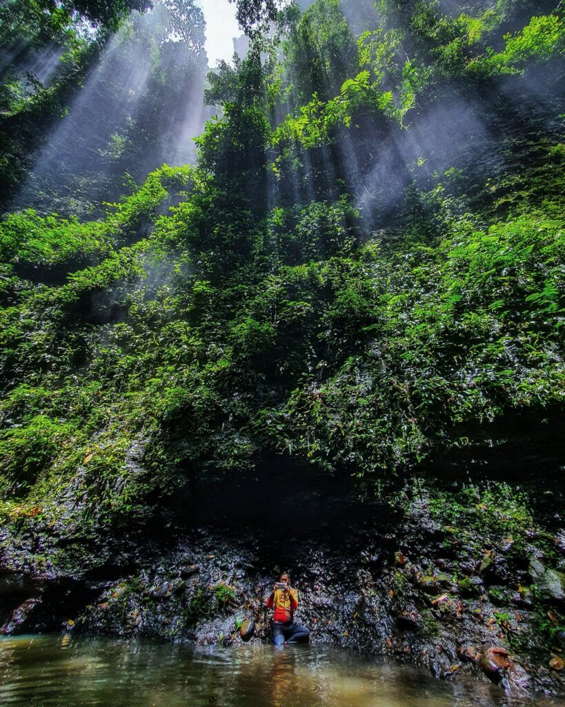 Sungai Merabung, Trek Hutan Bagai Dunia Jurasik di Lahad Datu Sabah