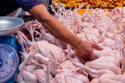 Hanya RM7.90 Sekilo, KPDN Sarawak Tawar Ayam Dengan Harga Rahmah Setiap Jumaat