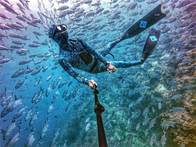 sebab pulau sipadan tutup sebulan