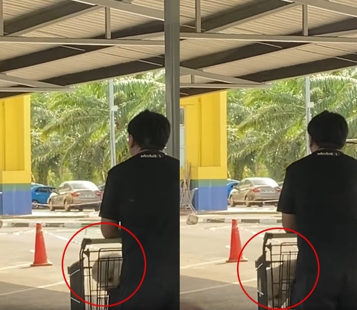Kecoh Lelaki Bawa Anjing Dalam Troli, Tindakan Supermarket Di Tawau Sabah Ini Raih Pujian Netizen