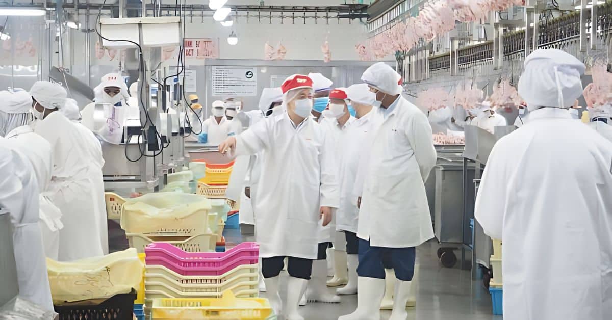 Punca Harga Ayam Mahal, 5 Syarikat Kartel Ayam Di Malaysia Dikenakan Denda RM415 Juta