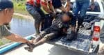 Tahanan Buat Aksi Spiderman Kini Berjaya Ditangkap Pihak Polis Di Kota Kinabalu