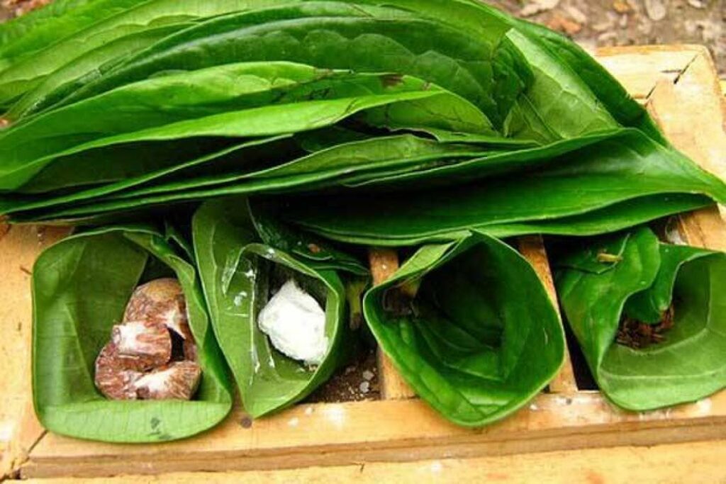 Kenali Adat Dan Pantang Larang Setiap Kaum Bidayuh
