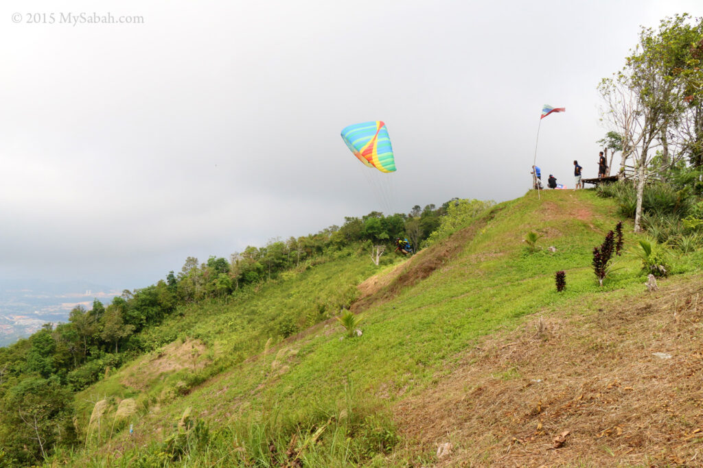 Pelancong Korea Selatan Tersangkut Di Atas Pokok Ketika Paragliding Di Sabah