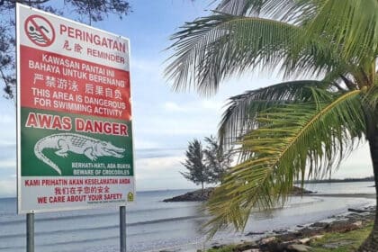 Lelaki Nyaris Maut Diserang Buaya Semasa Menjala Di Tanjung Kidurong