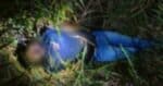 Mayat Lelaki Ditemui Di Telaga Air, Polis Syak Diserang Binatang Buas