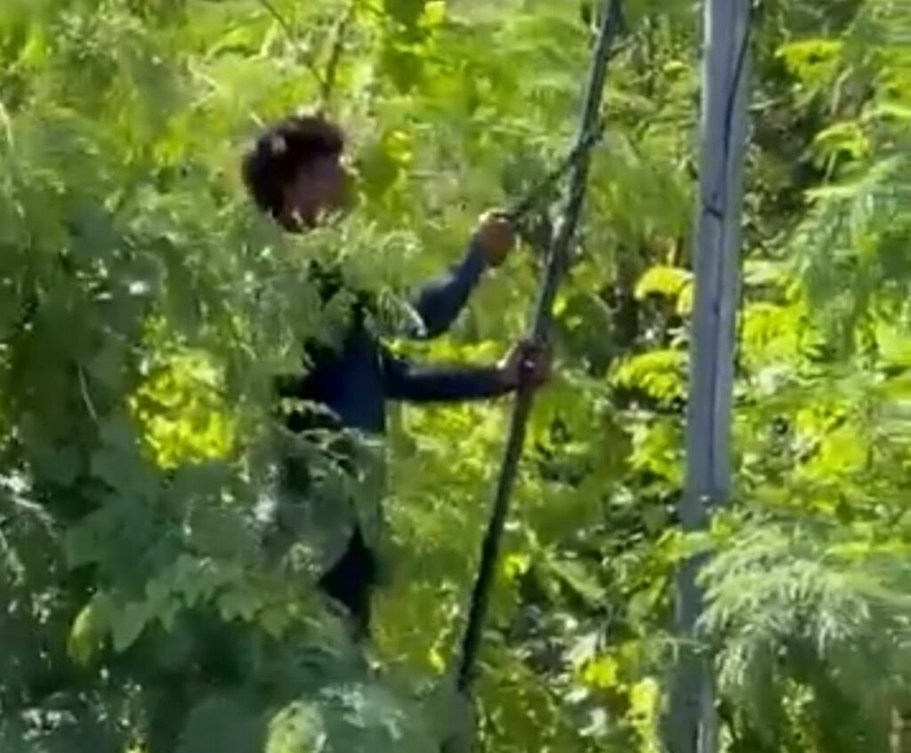Potong Kabel Macam Tebang Pokok, Lelaki Curi Kabel Tepi Jalan Di Semporna