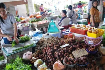 8 Aktiviti Santai Dan Menarik Yang Anda Boleh Cuba Di Serian
