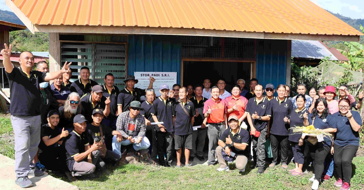 Sistem Intensifikasi Padi (S.R.I) Berjaya Bantu 88 Petani Di Ba' Kelalan