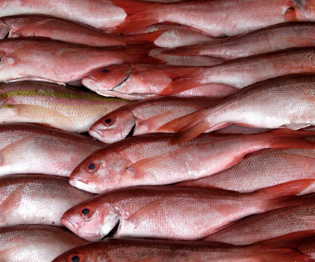Kantoi Peniaga Pasar Malam Inanam, Kota Kinabalu Guna Perwarna Cantikkan Ikan