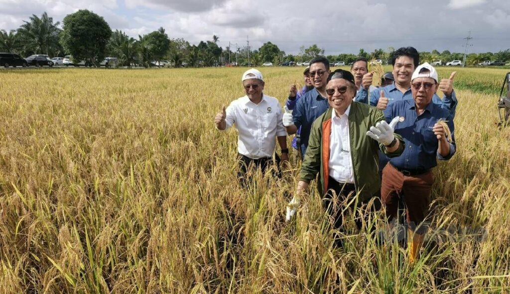 Sarawak Buka 10,000 Hektar Tanaman Padi Untuk Hadapi Masalah Beras Mahal