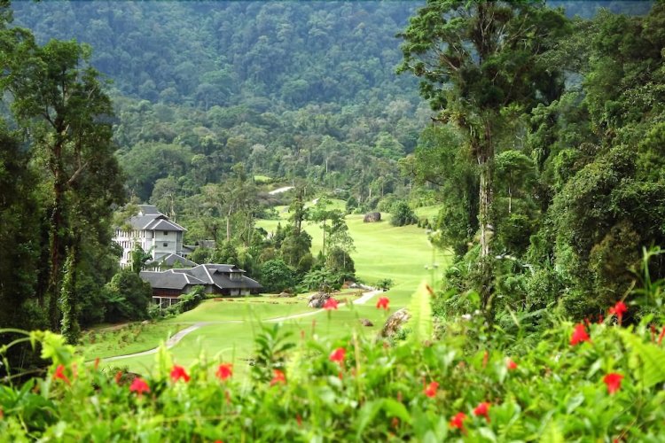 MP Puncak Borneo Cadang MOTAC Dan Kerajaan Sarawak Kerjasama Pulih Borneo Highland Resort