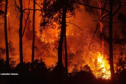 API Udara Melonjak Tidak Sihat Dicatat Gara-Gara Kebakaran Besar Di Sabah