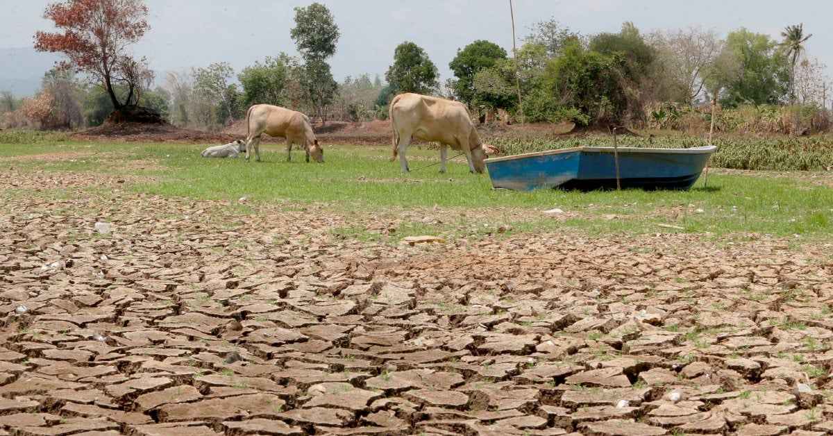 Krisis Bekalan Air Kritikal, JPBD Isytihar Daerah Papar Dilanda Bencana Kemarau