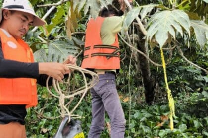 SFC Kini Giat Tangkap Buaya Di Sepanjang Sungai Sarawak