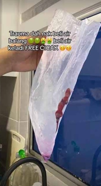 Beli Untuk Berbuka Puasa, Wanita Trauma Jumpa Bangkai Cicak Dalam Air Balang