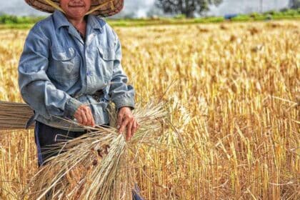 Betong Bakal Jadi Daerah Pengeluar Makanan Dan Produk Utama Di Sarawak