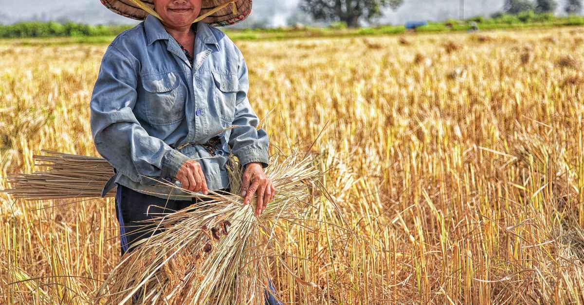 Betong Bakal Jadi Daerah Pengeluar Makanan Dan Produk Utama Di Sarawak
