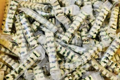 Ini Alasan Kenapa Pengusaha Kek Lapis Baklava Jual Kek Dengan Harga RM650 Seloyang