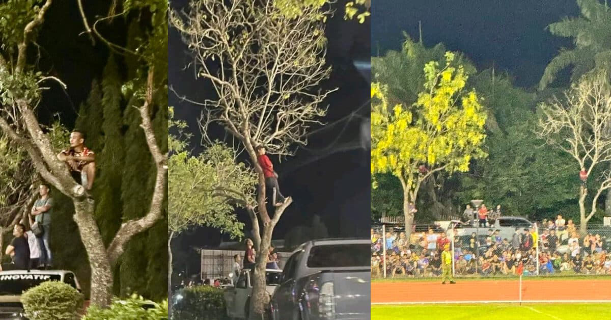 Lelaki Ini Sanggup Panjat Pokok Demi Beri Sokongan Padu Sabah FC VS Keningau FA