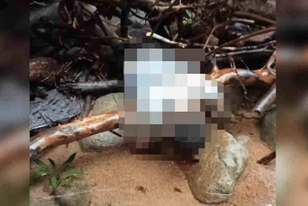 Tragedi Kepala Air, Mayat Mangsa Hilang Di Air Terjun Kampung Sebat Sematan Akhirnya Ditemui