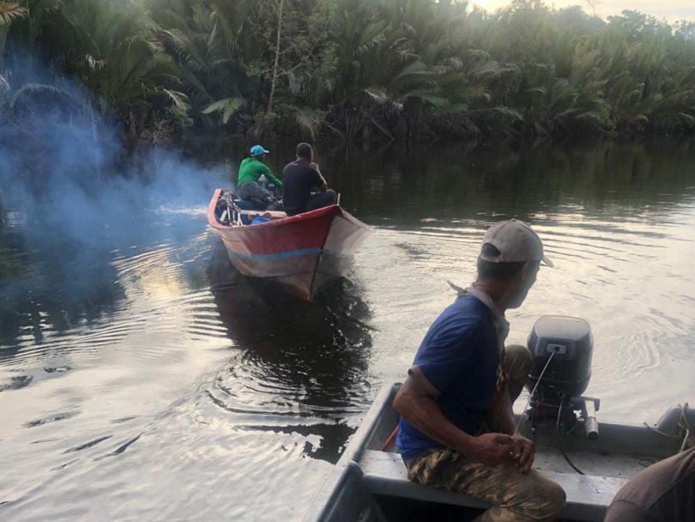Diseret Ke Dalam Sungai, Wanita Warga Emas Diserang Buaya Di Sungai Rayu