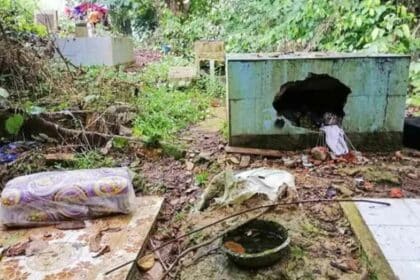 12 Kubur Di Dua Perkuburan Iban Di Song Rosak Akibat Diceroboh