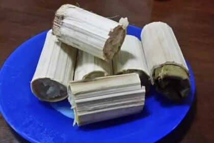 Ini Fakta Menarik Mengenai Pogang, Lemang Pulut Versi Masyarakat Bidayuh Sarawak