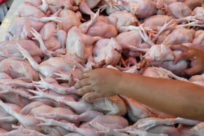 Penyeludupan RM2.75 Daging Ayam Beku Di Pelabuhan Sepanggar Sabah Gagal